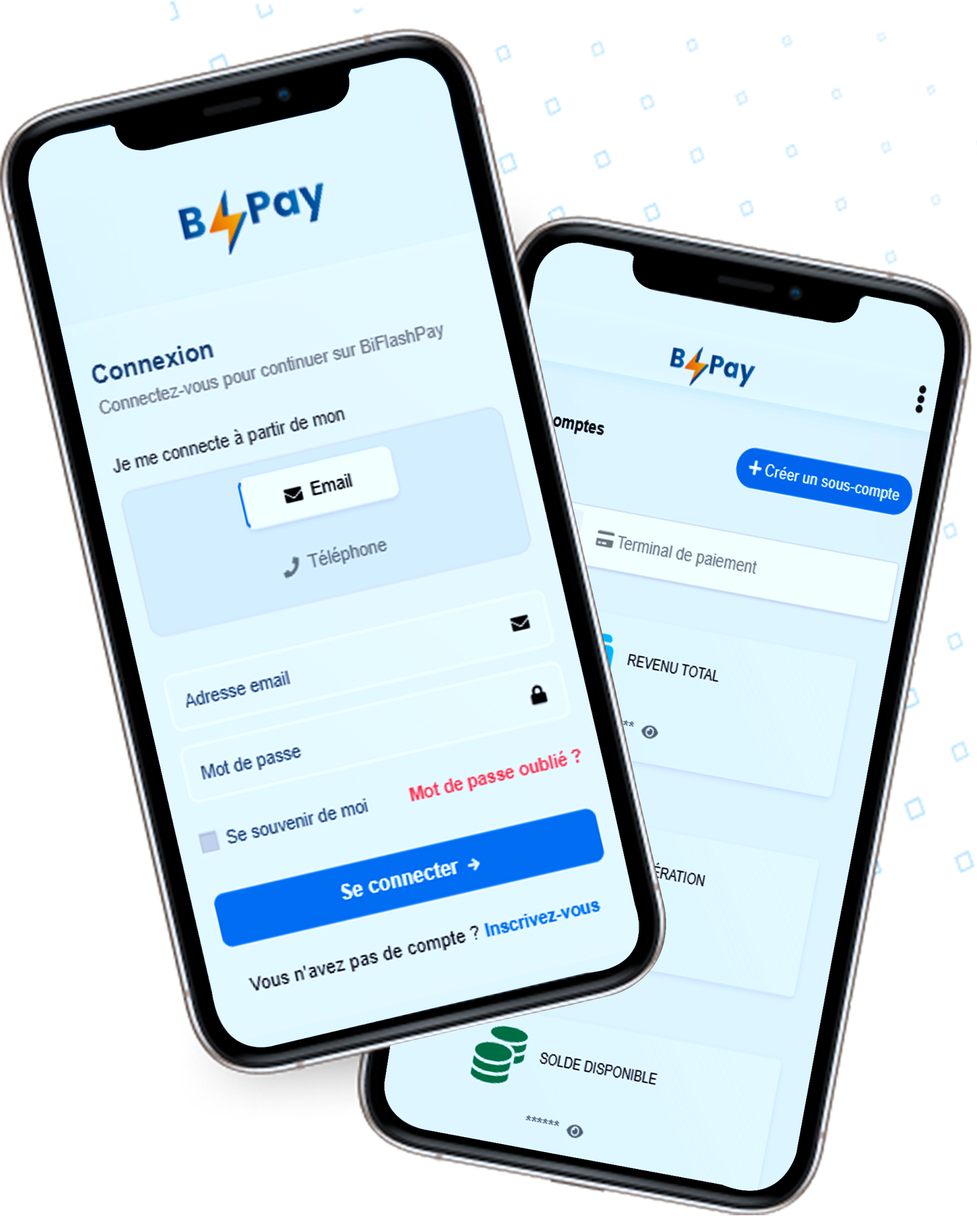 BiFlashPay Leader